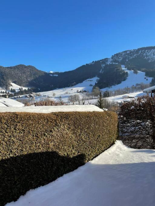 Charmant Studio + Jardin Vue Pistes Et Local Velo Praz-sur-Arly Exterior photo